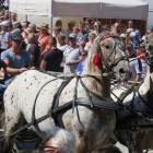 zdjęcie nr 70