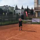 Fotka nr 2 z 12