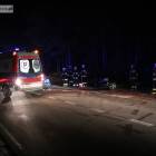 Fotka nr 5 z 12
