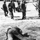 zdjęcie nr 61