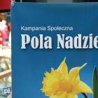 zdjęcie nr 10