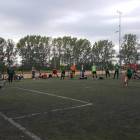 Fotka nr 3 z 14