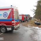 Fotka nr 3 z 15