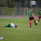 zdjęcie nr 7