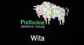 Fotka nr 3 z 4