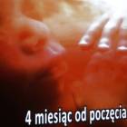 Fotka nr 0 z 5