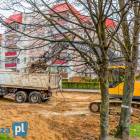 zdjęcie nr 31
