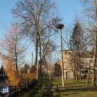 zdjęcie nr 7