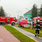 zdjęcie nr 33