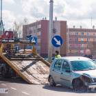 Fotka nr 3 z 11