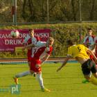 zdjęcie nr 8