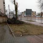 zdjęcie nr 10