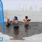 zdjęcie nr 24