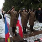 Fotka nr 4 z 12