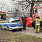 Fotka nr 1 z 8