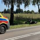 Fotka nr 2 z 4