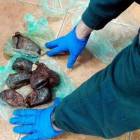 Fotka nr 2 z 12