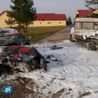 zdjęcie nr 7