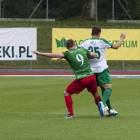 zdjęcie nr 10