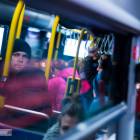 zdjęcie nr 14