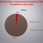 zdjęcie nr 24