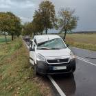 Fotka nr 1 z 6