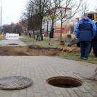 zdjęcie nr 11