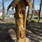 zdjęcie nr 7