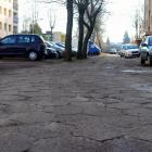 Fotka nr 2 z 5