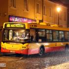 zdjęcie nr 33