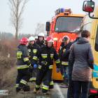 Fotka nr 3 z 12