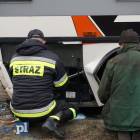 Fotka nr 1 z 8