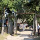 Fotka nr 4 z 15