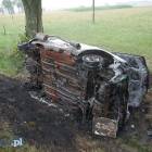 zdjęcie nr 8