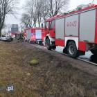 Fotka nr 5 z 9