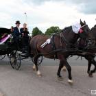 Fotka nr 3 z 51