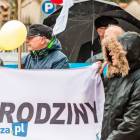 zdjęcie nr 42