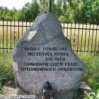 zdjęcie nr 16