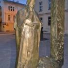 zdjęcie nr 7