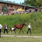 zdjęcie nr 18