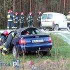 Fotka nr 2 z 15
