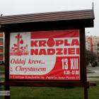 zdjęcie nr 9