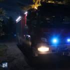 Fotka nr 5 z 15