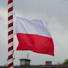 zdjęcie nr 16