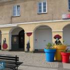 zdjęcie nr 8