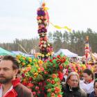 zdjęcie nr 49