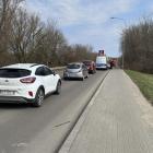 Fotka nr 4 z 5