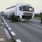 Fotka nr 4 z 10