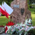 zdjęcie nr 38
