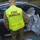 Fotka nr 1 z 3